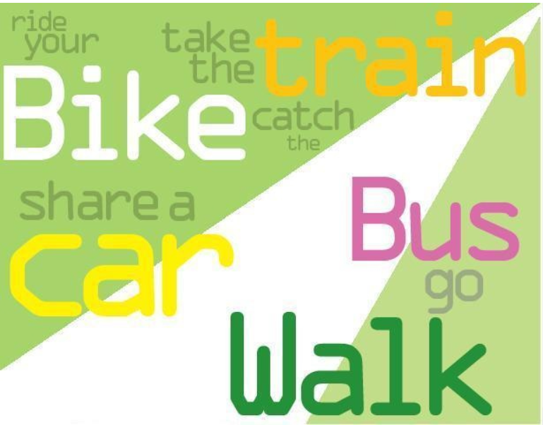 Sustainable Fleet Management Program